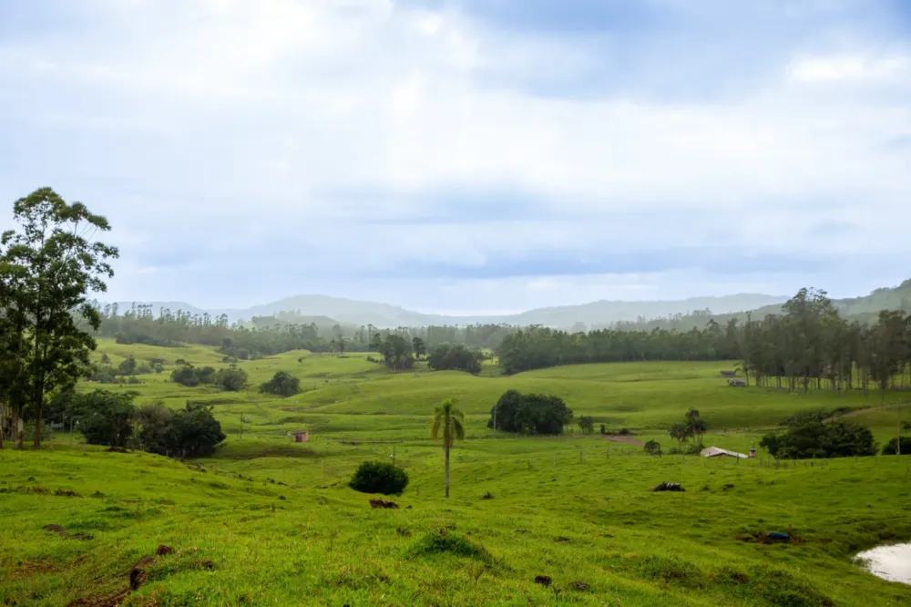 Frio intenso e geada devem marcar a semana no Rio Grande do Sul